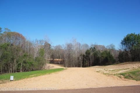 4220 S Getwell Rd, Hernando, MS 38632 photo 1
