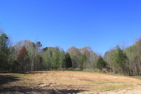 4220 S Getwell Rd, Hernando, MS 38632 photo 9