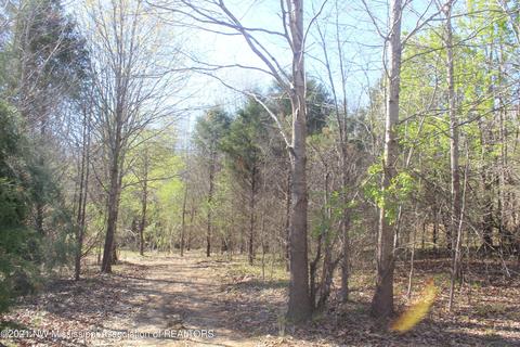 4220 S Getwell Rd, Hernando, MS 38632 photo 29