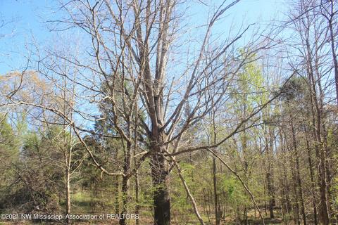 4220 S Getwell Rd, Hernando, MS 38632 photo 19