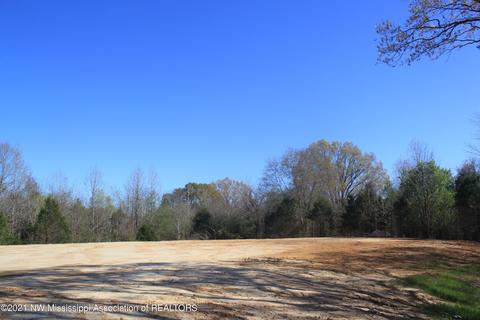 4220 S Getwell Rd, Hernando, MS 38632 photo 11