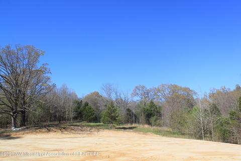 4220 S Getwell Rd, Hernando, MS 38632 photo 14