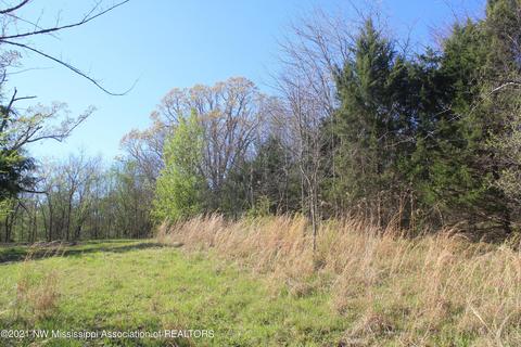 4220 S Getwell Rd, Hernando, MS 38632 photo 22