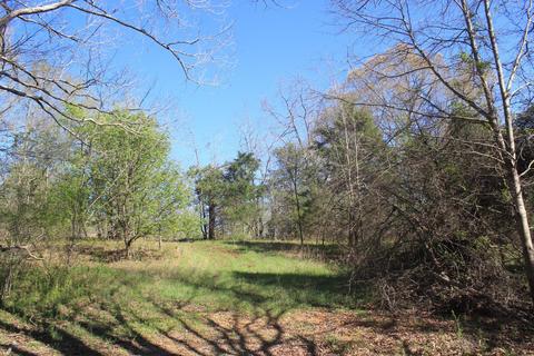 4220 S Getwell Rd, Hernando, MS 38632 photo 20