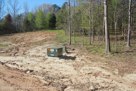 4220 S Getwell Rd, Hernando, MS 38632 photo 30