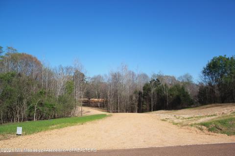 4220 S Getwell Rd, Hernando, MS 38632 photo 2