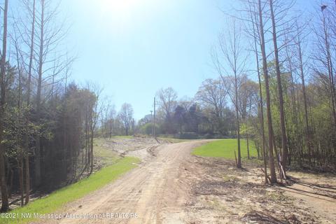 4220 S Getwell Rd, Hernando, MS 38632 photo 6