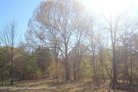 4220 S Getwell Rd, Hernando, MS 38632 photo 21