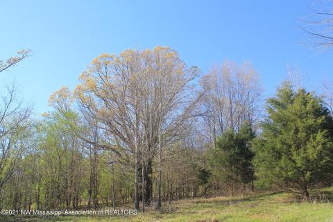 4220 S Getwell Rd, Hernando, MS 38632 photo 24