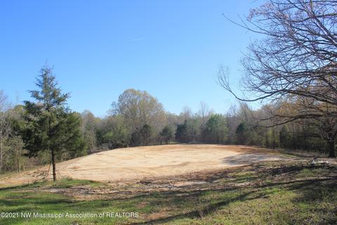 4220 S Getwell Rd, Hernando, MS 38632 photo 26