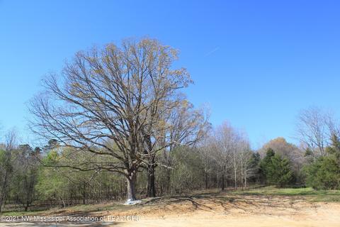 4220 S Getwell Rd, Hernando, MS 38632 photo 12