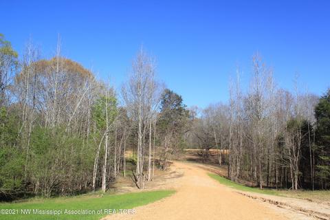 4220 S Getwell Rd, Hernando, MS 38632 photo 5