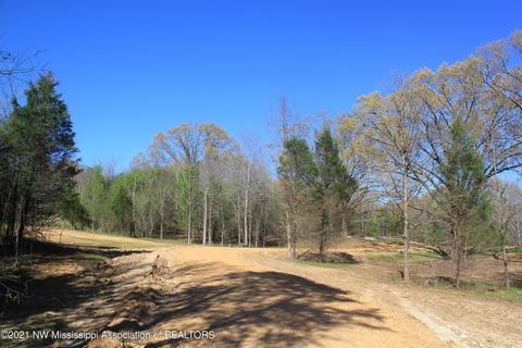 4220 S Getwell Rd, Hernando, MS 38632 photo 7