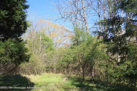 4220 S Getwell Rd, Hernando, MS 38632 photo 25