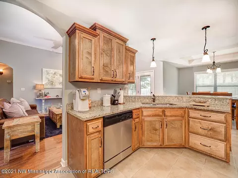 40 Shady Ln Cv, Hernando, MS 38632 photo 13