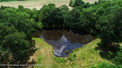2575 Nesbit Rd, Nesbit, MS 38651 photo 4