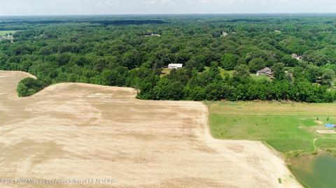2575 Nesbit Rd, Nesbit, MS 38651 photo 8