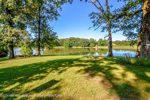 5290 Fox Lake Dr, Hernando, MS 38632 photo 20