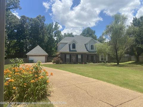 3725 Meadow Trace Cv, Nesbit, MS 38651 photo 1
