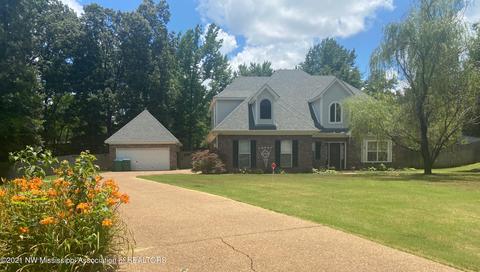 3725 Meadow Trace Cv, Nesbit, MS 38651 photo 3