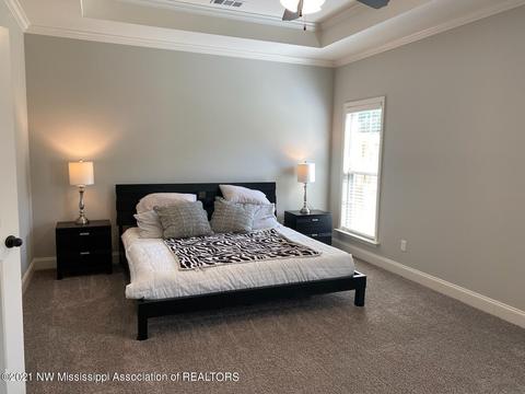 5071 Watson Place Ln, Nesbit, MS 38651 photo 7