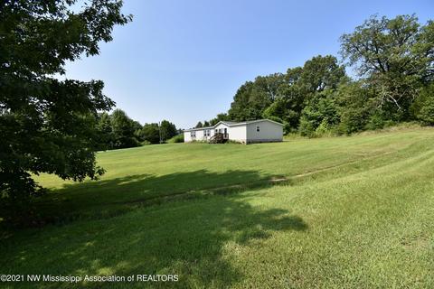 5607 Emily Lynne Ln, Hernando, MS 38632 photo 32