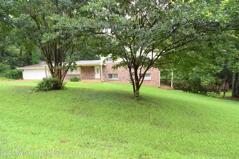 8770 Laughing Buck Cv, Hernando, MS 38632 photo 1