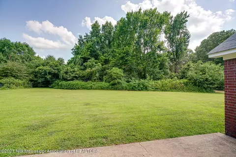 6365 River Birch Rd, Walls, MS 38680 photo 26