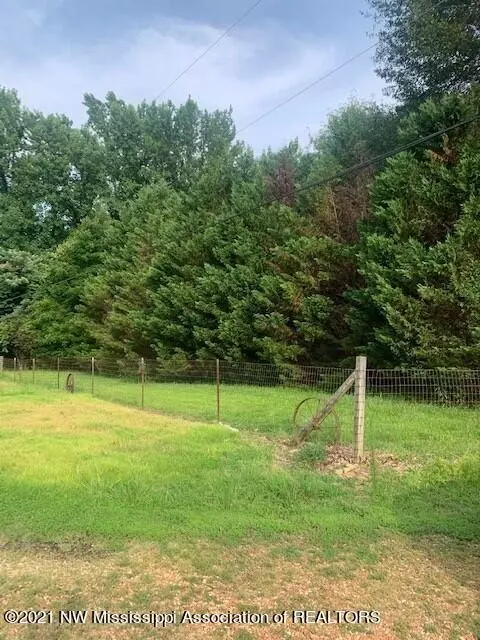 333 Patrick Rd, Coldwater, MS 38618 photo 7