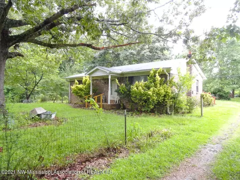 333 Patrick Rd, Coldwater, MS 38618 photo 1