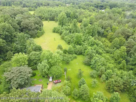 333 Patrick Rd, Coldwater, MS 38618 photo 2