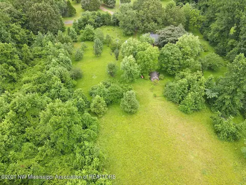 333 Patrick Rd, Coldwater, MS 38618 photo 13
