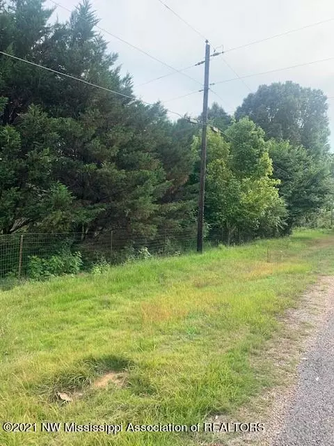 333 Patrick Rd, Coldwater, MS 38618 photo 8