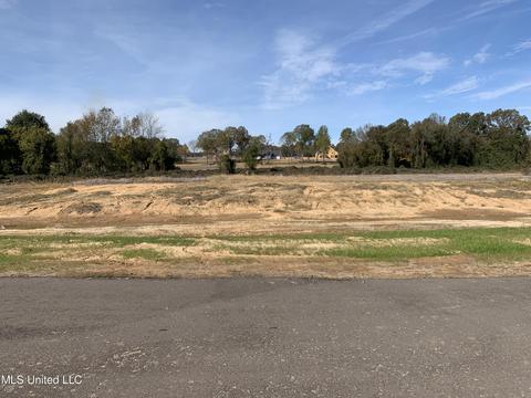 79 Pebble Cv S, Byhalia, MS 38611