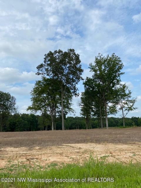 66 Pebble View Dr, Byhalia, MS 38611