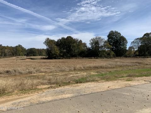 74 Pebble Cv S, Byhalia, MS 38611