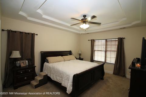 2758 Flora Lee Dr, Nesbit, MS 38651 photo 10