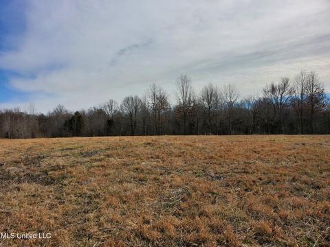 000 Woolfolk Rd, Senatobia, MS 38668