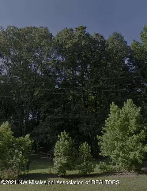 3285 Starlanding, Nesbit, MS 38651 photo 1