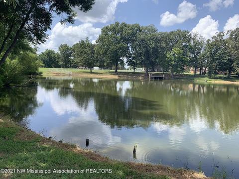 335 E Foxwood Cir, Hernando, MS 38632 photo 11
