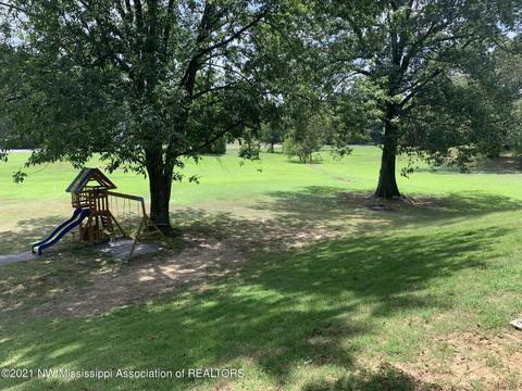 335 E Foxwood Cir, Hernando, MS 38632 photo 9