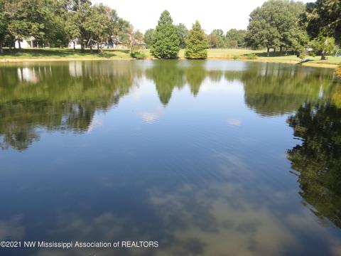 335 E Foxwood Cir, Hernando, MS 38632 photo 10