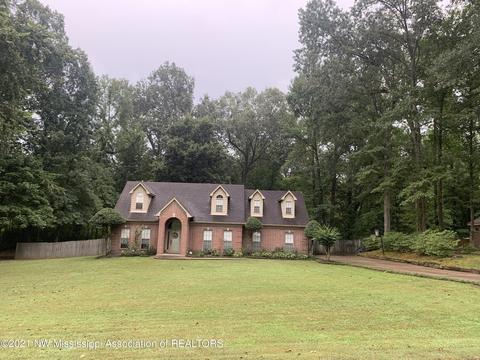 8520 E Cedar Lake Dr, Walls, MS 38680 photo 25