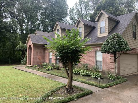 8520 E Cedar Lake Dr, Walls, MS 38680 photo 3