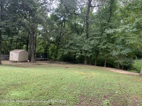 8520 E Cedar Lake Dr, Walls, MS 38680 photo 22