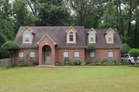 8520 E Cedar Lake Dr, Walls, MS 38680 photo 1