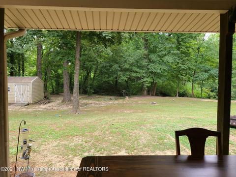 8520 E Cedar Lake Dr, Walls, MS 38680 photo 24