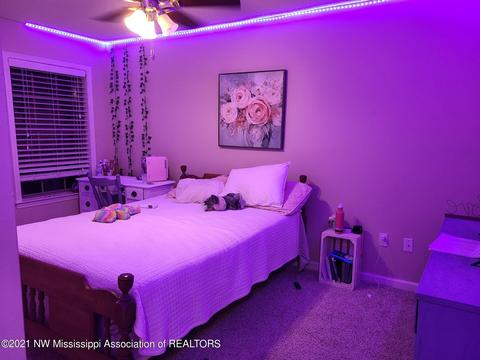 8520 E Cedar Lake Dr, Walls, MS 38680 photo 16