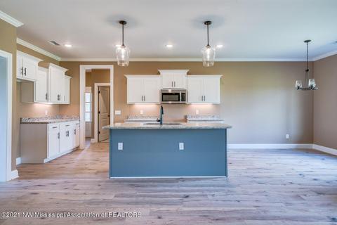 8162 Williamson Dr, Olive Branch, MS 38654 photo 8