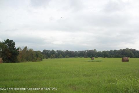 1 Highway 301, Lake Cormorant, MS 38641
